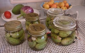 bottling pickled west indian cucumbers with pickling solution.jpg