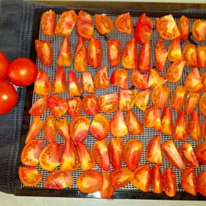 Tomatoes ready for drying