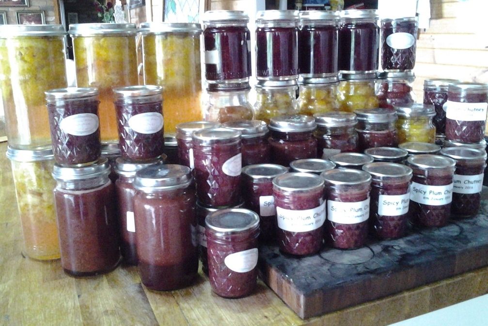 Preserved Plums