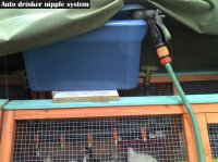 quail cage stand made from old kids swing set drinker auto setup text.jpg